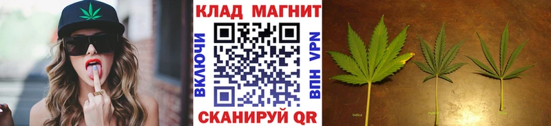 Гашиш Иннополис