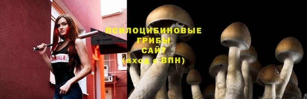 бутират Арсеньев