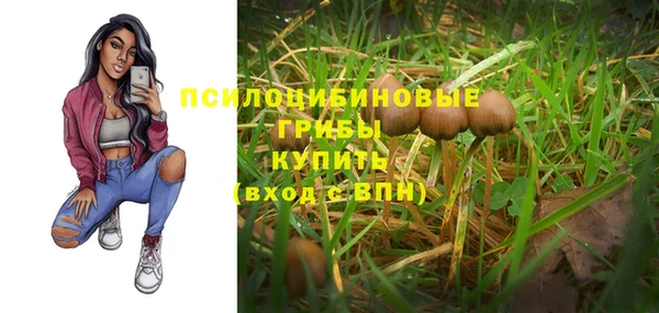 гидропоника Армянск