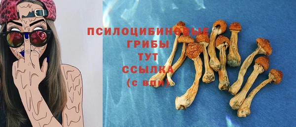 гидропоника Армянск
