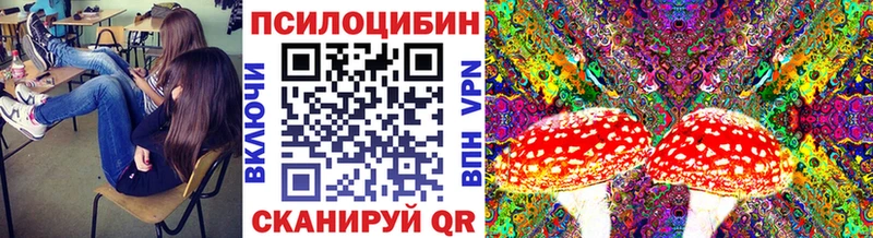Псилоцибиновые грибы GOLDEN TEACHER  Иннополис 